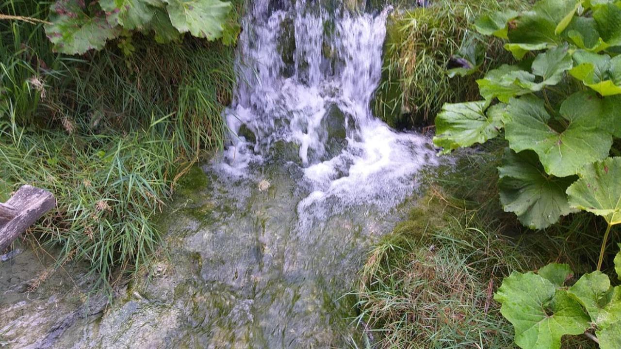 Holiday Home Vukovic Saborsko Zewnętrze zdjęcie